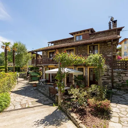 Lucciola * 斯特雷萨